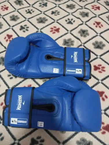 Luva Muay Thai ? profissional
