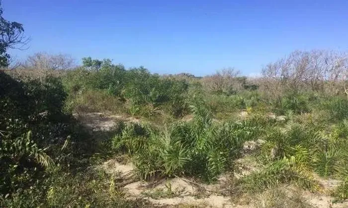 Terreno