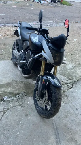 Hornet 