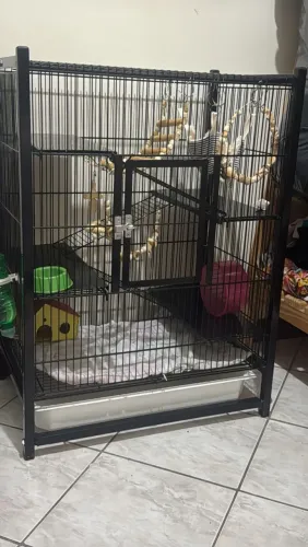 Gaiola para Ratos