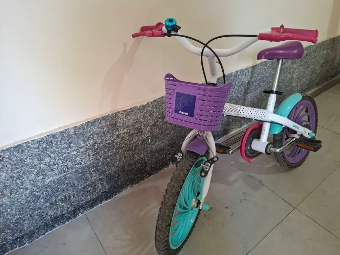 Bicicleta Caloi Ceci aro 16