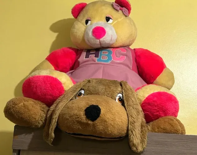 Urso de pelucia
