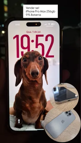 iPhone 16 Pro Max 256gb (91% Bateria)