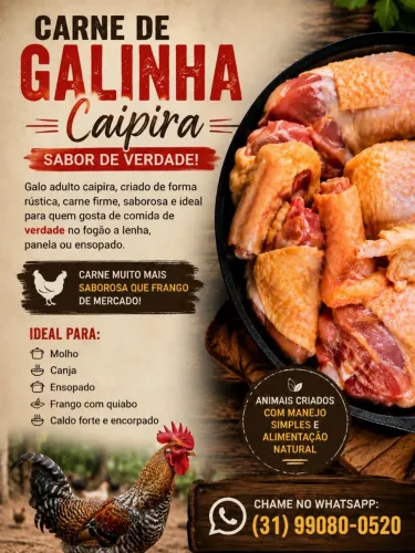 Carne de Galinha Caipira - Galo Caipira Saboroso e Rústico