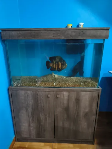 Aquário 180 litros com armário e acessórios.
