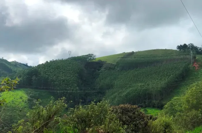 Sítio de 8 Alqueires em São Francisco Xavier com Cachoeiras, Nascente e Vista Espetacular