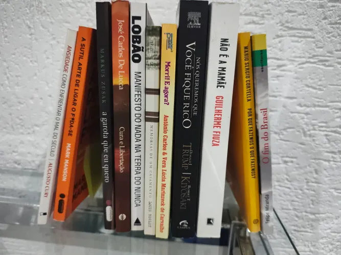 Livros - 26 livros (diversificados).