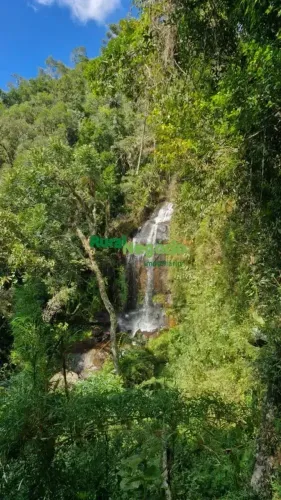 FAZENCO COM CACHOEIRA E MATA ENTRE CAMPOS DO JORDÃO / DELFIM MOREIRA-MG