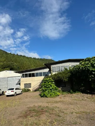 Vendo Pavilhão e 14 hectare de área escriturado em Vale Real