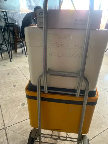 Carrinho para trabalhar autônomo