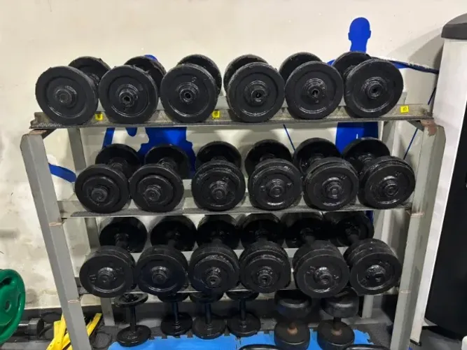 Kit de dumbells e bike ergométrica