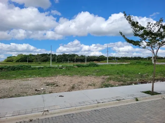 Lote à Venda 300m² no Três Barras - Linhares/ES