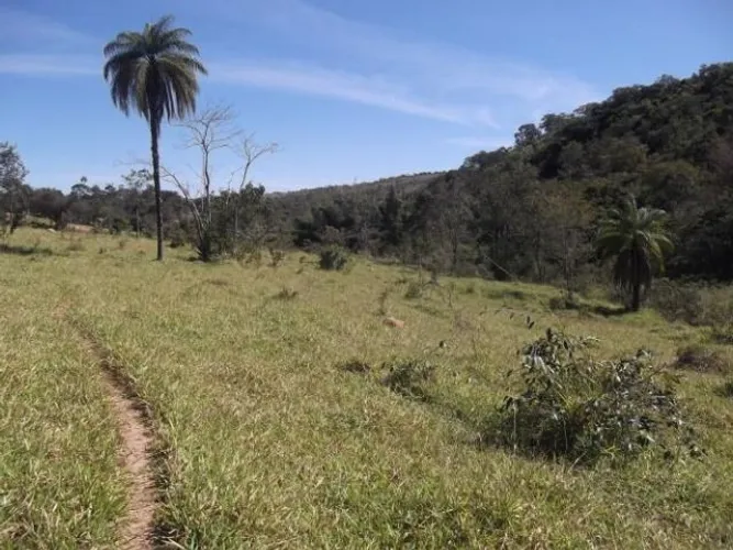 Linda fazenda sem sede, de 82 hectares, * WhtsApp Guilherme
