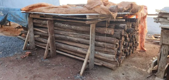 Escoras de Eucalipto