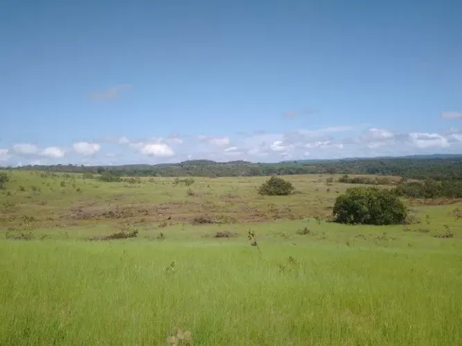 Fazenda a Venda Cidade Porto Nacional Estado Tocantins Roça Terreno Gado Lavoura
