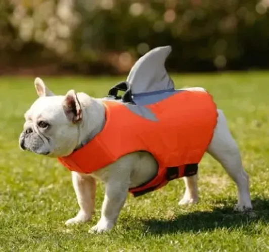 Boia Pet Colete Salva Vidas para Cachorros tamanho S ou Pequeno 5-10kgs