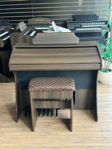 Órgão Eletrônico Rohnes RS44 Oliva Zayit