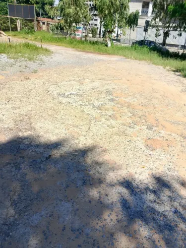 Lote Samambaia Norte