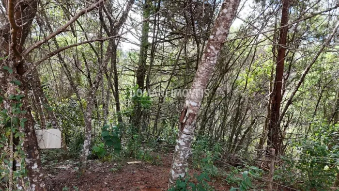 Oportunidade Única de Terreno à Venda na Região do Vale Encantado - Campos do Jordão/SP