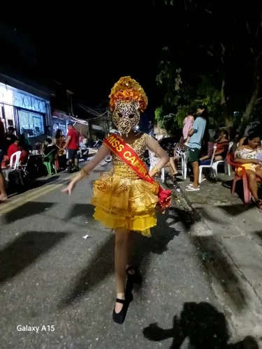 Aluguel de Traje de onça para miss junina 
