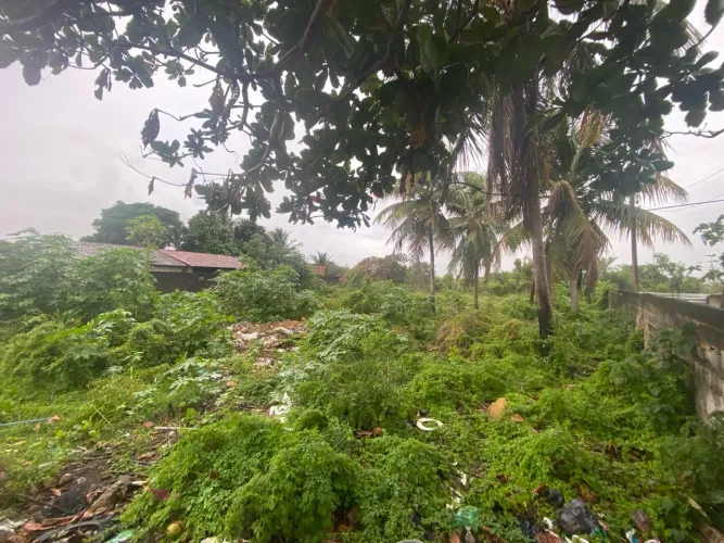 Terreno grande - oportunidade - Marechal 