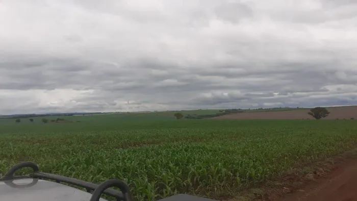 Fazenda 150 alqueiro solo roxo