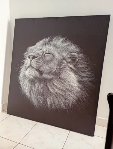 Quadro Leão em Tela Canvas - 1m x 90cm