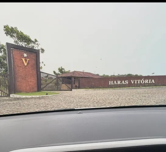 HARAS VITORIA- MELHOR LOTE