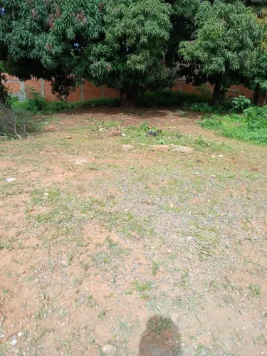 LOTE 250m²