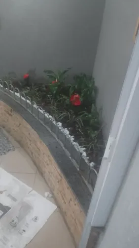 Precisa se profissionais que faça corte de grama na cidade de ji parana