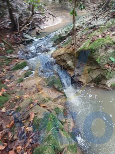Chácara para Venda em Silvânia, ZONA RURAL, 2 dormitórios, 1 suíte, 2 banheiros, 3 vagas
