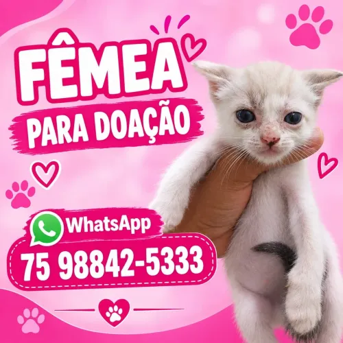 Para doação