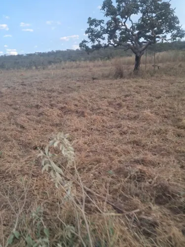 Vendo chácara em Planaltina-DF a 500 metros do clube Acqua cerrado