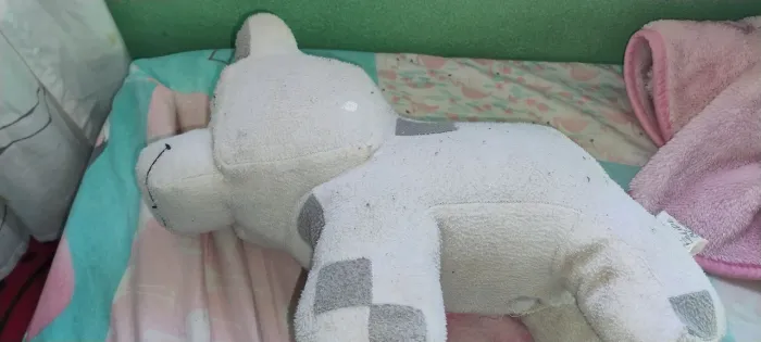 Espirro Felipe neto usado 2019-2020  produto original, tem avaria, n tem a coleira dele 