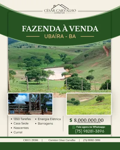 FAZENDA EM UBAÍRA - 1350 TAREFAS