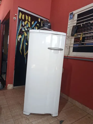 Freezer tá novo zap *