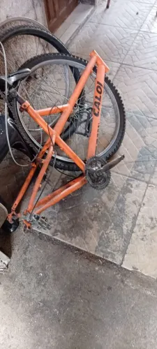 QUADRO CALOI ARO 26