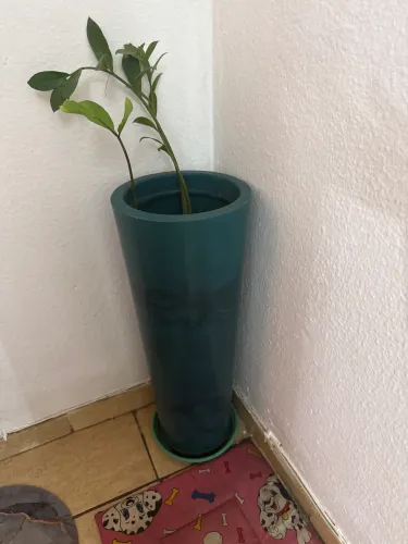 Vaso de planta