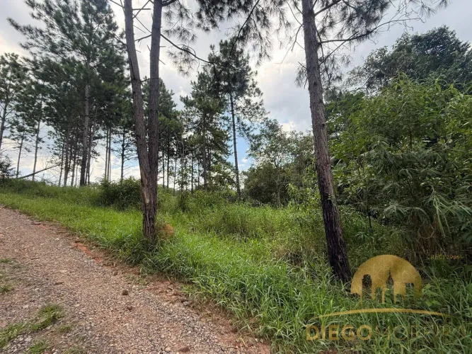 Terreno de Esquina à Venda em Terra Preta  Vista para a Natureza