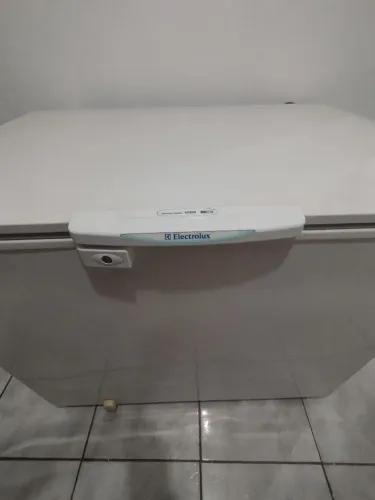 Freezer Electrolux H300