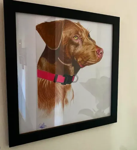 Arte do seu pet