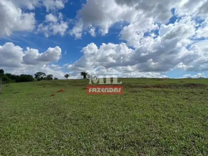 Chácara 4 alqueires (19,72 hectares) Goianira -Go