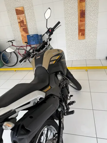 VENDO LANDER 2024