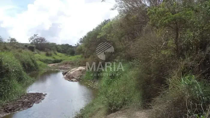 Sítio com 83 Hectares à venda em Jupi/PE!