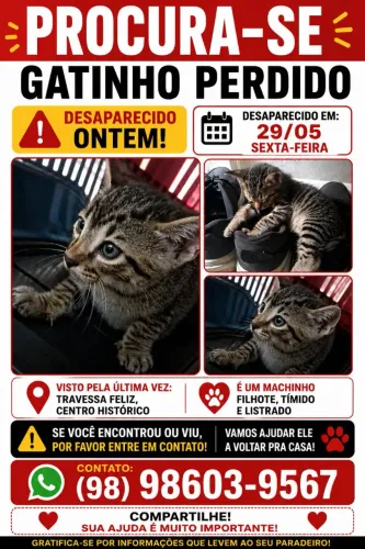 Procura se 