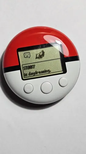 PokéWalker - Nintendo DS