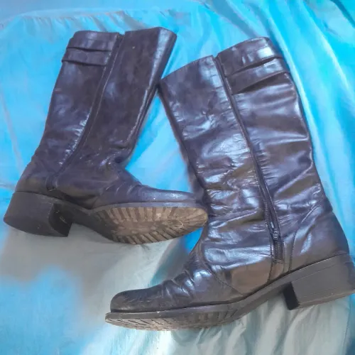 Bota