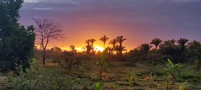 VENDO 55 HECTARES DE TERRA, COM DOCUMENTO