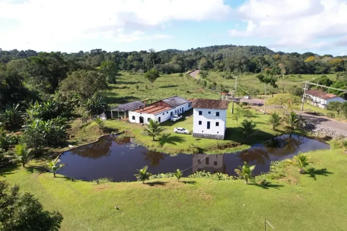 Vendo Fazenda Conjunto Provisão e Theodolinda
