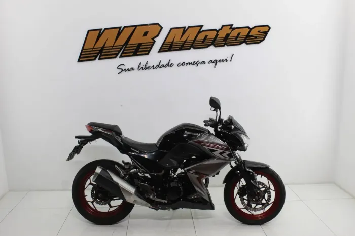 KAWASAKI Z300